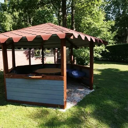 Darius Ir Girenas * פלאנגה