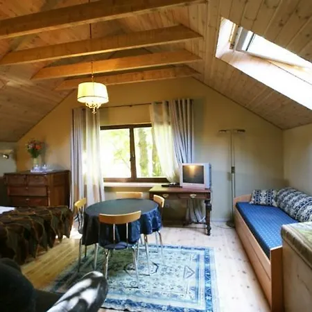 Darius Ir Girenas דירה פלאנגה